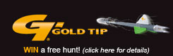 Gold Tip Arrows Gold Tip Arrows