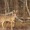 State Park wildlife should be viewed but not touched