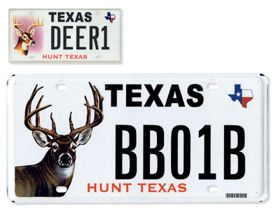 Texas hunting license one day