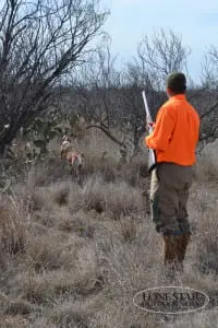 QUAIL HUNT TXI 163465 copy