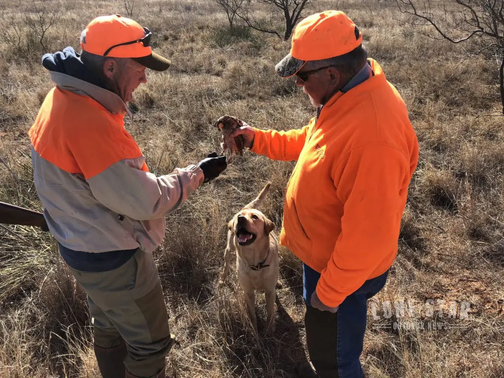 Rolling Plains Quail Research Ranch