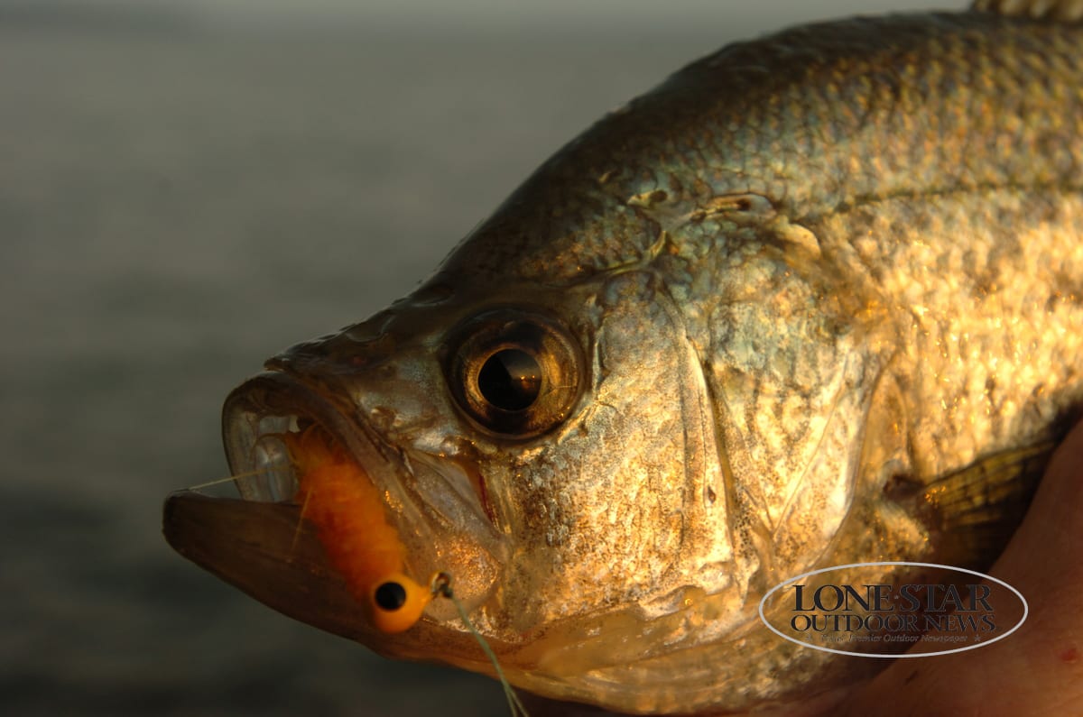 Crappie Anglers of Texas hosts successful Crappie Fest on Fork Texas