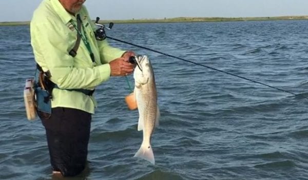 Topwater red landing with Capt. Mitch Richmond out of Get