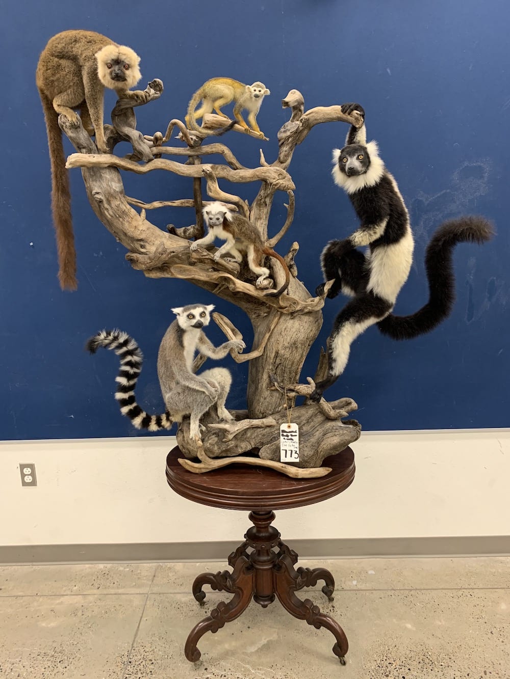 Huge taxidermy auction Texas Hunting & Fishing Lone Star Outdoor News