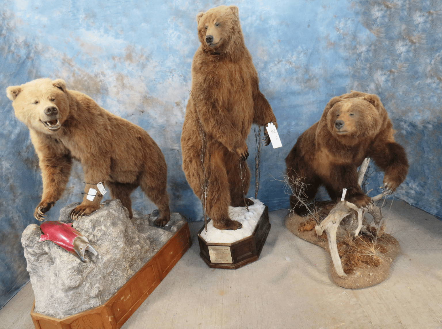 Huge taxidermy auction comes to Fort Worth Texas Hunting & Fishing Lone Star Outdoor News