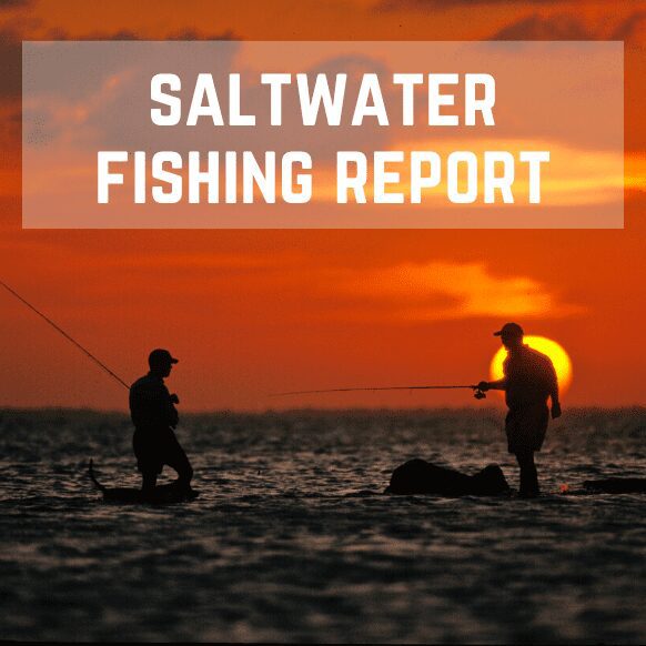 Alabama Saltwater Fishing Report: Selecting the Best Polarized